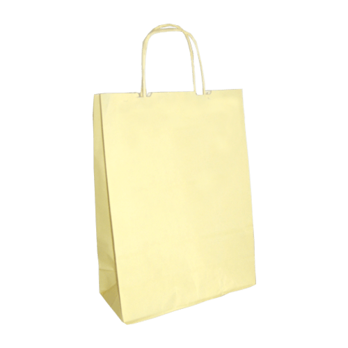 8620-5725 shopping paper bags