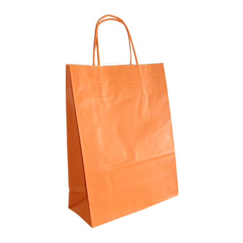 8620-5728 shopping paper bags
